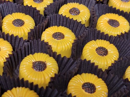 A close-up of yellow sunflower-shaped candies arranged in dark paper cups.