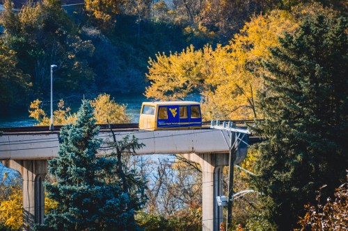 A monorail train travels along elevated tracks surrounded by autumn foliage and trees.
