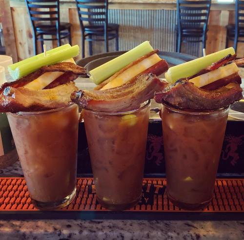Three tall glasses of Bloody Marys garnished with celery and crispy bacon strips, sitting on a bar counter.