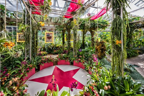 A vibrant greenhouse filled with colorful orchids and lush greenery, featuring a large pink star on the ground.