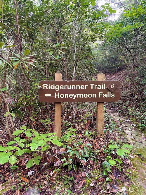 Wooden signpost indicating Ridgerunner Trail and Honeymoon Falls, surrounded by lush greenery.