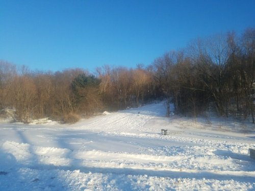A snowy landscape with a hill and bare trees under a clear blue sky.