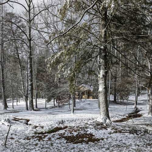 A snowy forest scene with bare trees and a small cabin in the background, creating a serene winter atmosphere.