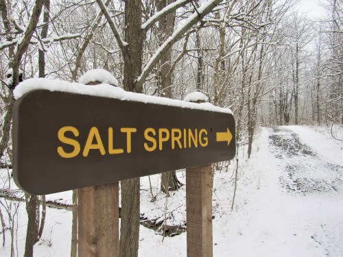 A wooden sign reading "SALT SPRING" points right, surrounded by snow-covered trees and a snowy path.