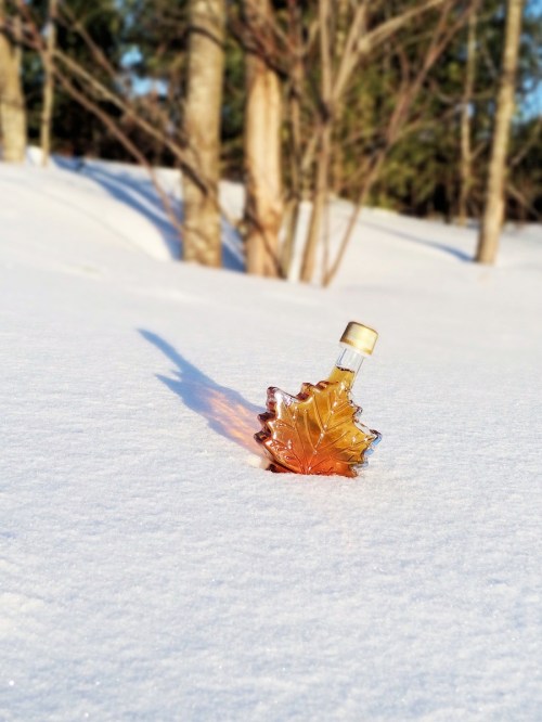 A maple syrup bottle shaped like a leaf, partially buried in snow, with trees in the background.