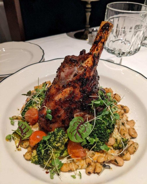 A beautifully plated dish featuring a roasted lamb shank on a bed of beans, broccoli, and cherry tomatoes.