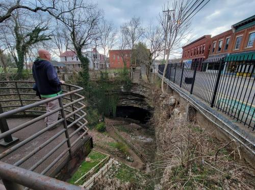 A person stands on a railing overlooking a deep sinkhole surrounded by trees and buildings in the background.