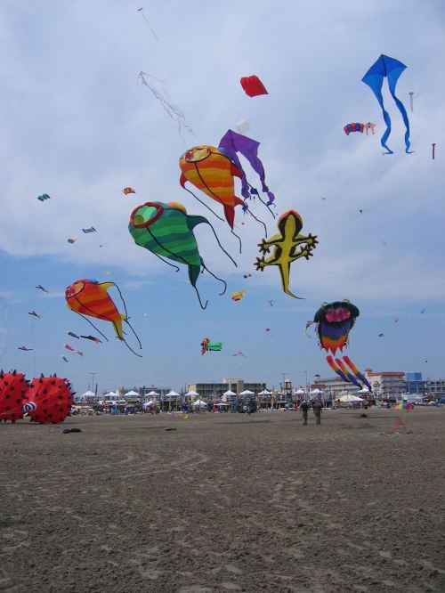 Colorful kites of various shapes and sizes flying in the sky over a sandy beach with people in the background.