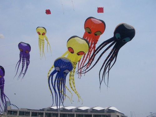 Colorful octopus kites flying against a blue sky, with various sizes and vibrant colors creating a playful scene.