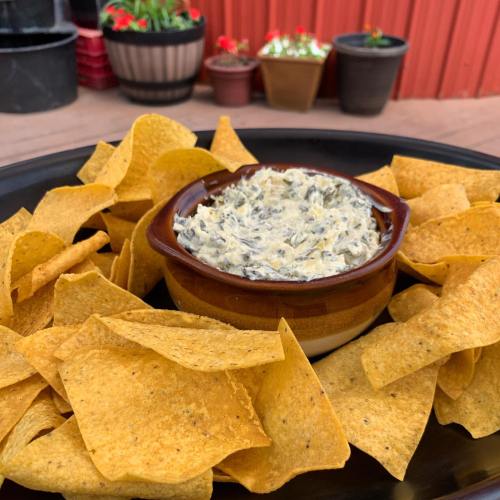 A bowl of creamy dip surrounded by crispy tortilla chips on a black plate, with potted plants in the background.