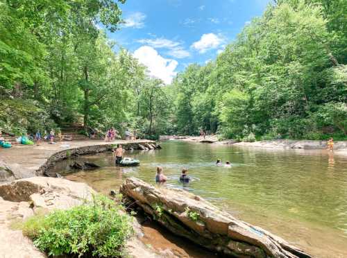 A serene river scene with people swimming and relaxing among lush green trees under a bright blue sky.