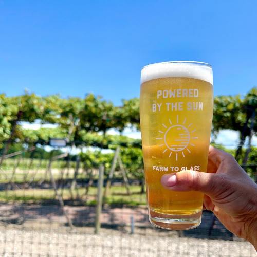 A hand holds a glass of beer with "Powered by the Sun" text, set against a sunny vineyard backdrop.