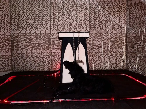 A dark room with a skull-patterned backdrop, featuring a chained black dog near a pedestal with eerie lighting.