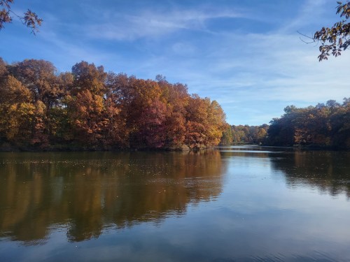A serene lake surrounded by trees with vibrant autumn foliage under a clear blue sky.