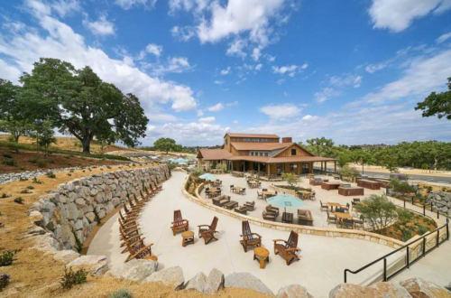 A scenic outdoor area with seating, a pool, and a modern building surrounded by trees and blue skies.