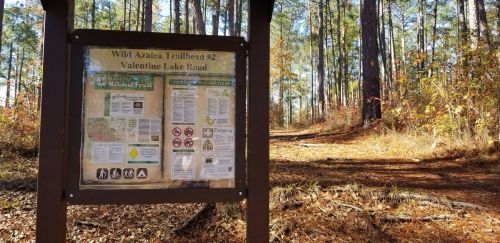 Sign for Wild Azalea Trailhead #2 at Valentine Lake Road, with a wooded path and pine trees in the background.