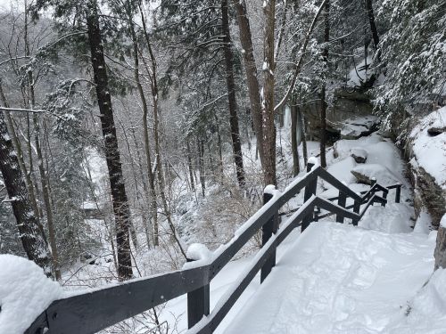 Snow-covered wooden stairs lead down through a forest of tall trees, with a snowy landscape visible below.