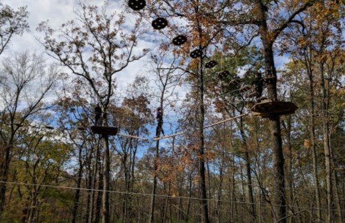 A person balances on a tightrope between trees, with wooden platforms and autumn foliage in the background.