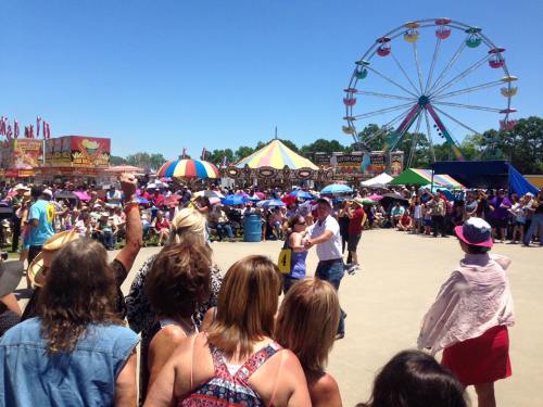 A lively fair scene with a crowd under colorful umbrellas, a Ferris wheel, and festive attractions in the background.