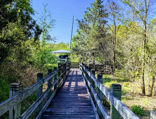 A wooden boardwalk leads through lush greenery towards a gazebo under a clear blue sky.