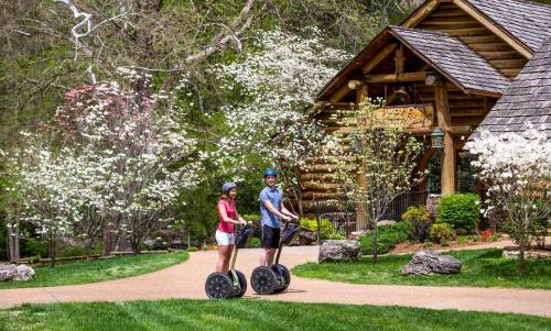 Two people riding Segways on a path near a log cabin, surrounded by blooming trees and greenery.