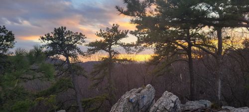 Sunset view through pine trees, with rocky foreground and a colorful sky in the background.