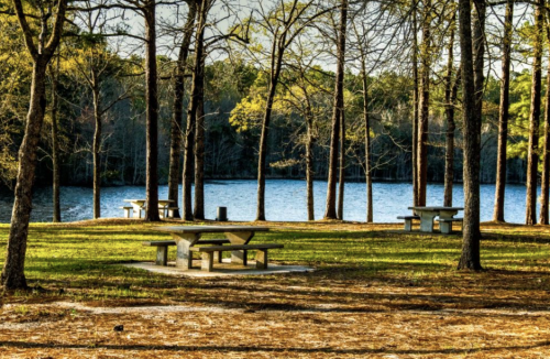 A serene lakeside scene with picnic tables surrounded by trees and a calm water view in the background.
