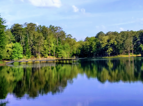 A serene lake surrounded by lush green trees, with a wooden pier extending into the calm water reflecting the scenery.