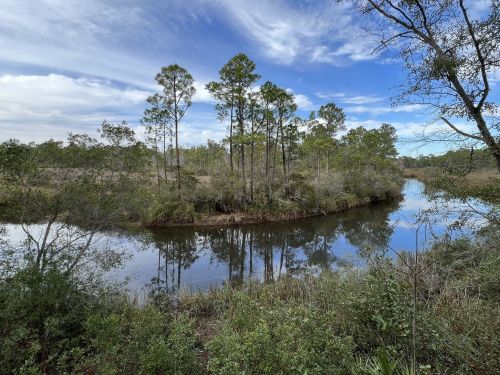 A serene river bends through a lush landscape of trees and grasses under a partly cloudy sky.