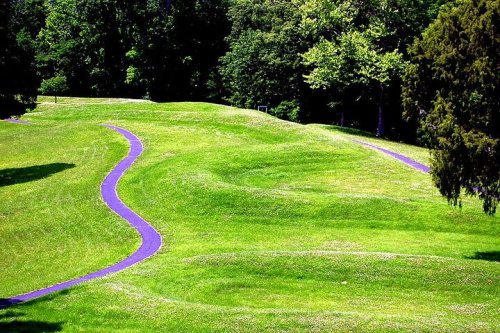 A winding purple path through lush green grass and trees in a serene park setting.