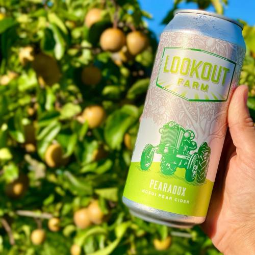 A hand holds a can of Lookout Farm's Pearadox cider, with a backdrop of pear trees and blue sky.