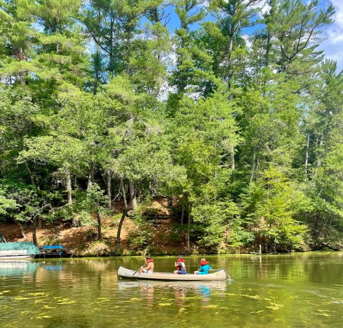 Three people in a canoe on a calm lake, surrounded by lush green trees and a clear blue sky.