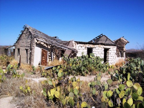 Abandoned, weathered house surrounded by cacti under a clear blue sky.