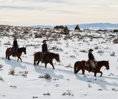 Three cowboys on horseback ride through a snowy landscape with sparse vegetation and distant mountains.