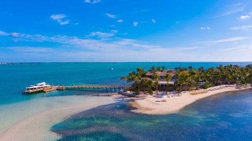 Aerial view of a tropical beach with a pier, palm trees, and clear blue water under a bright sky.