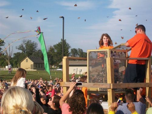 A crowd watches as butterflies are released from a wooden enclosure during an outdoor event on a sunny day.