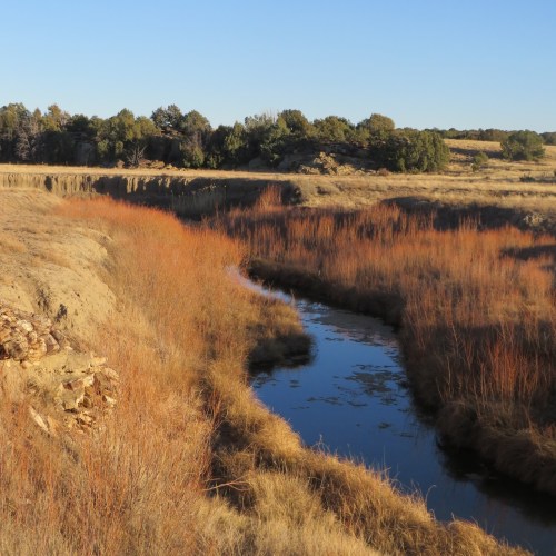 A serene landscape featuring a winding stream surrounded by tall grasses and trees under a clear blue sky.