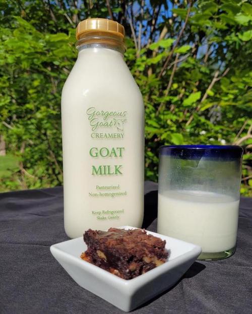 A bottle of goat milk next to a glass and a small dish of chocolate brownie, set against a green background.