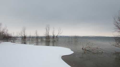 A serene winter landscape featuring a snowy shore and bare trees reflected in calm water under a gray sky.