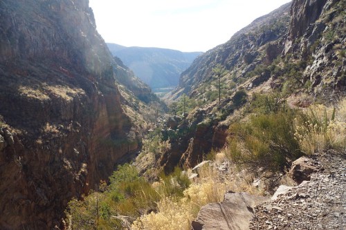 A scenic view of a deep canyon with rocky cliffs and sparse vegetation under a bright sky.