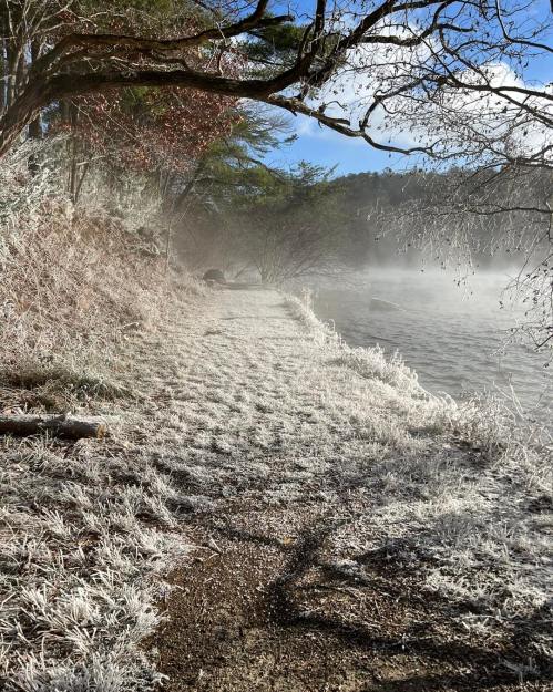 A misty path along a frosty lakeside, surrounded by trees and shimmering grass under a clear blue sky.