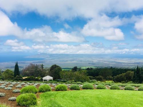 A scenic view of lush greenery and lavender fields overlooking a vast landscape under a partly cloudy sky.