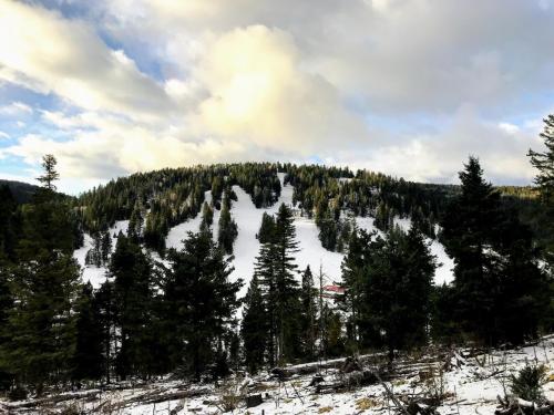 A snowy hillside surrounded by evergreen trees under a partly cloudy sky.