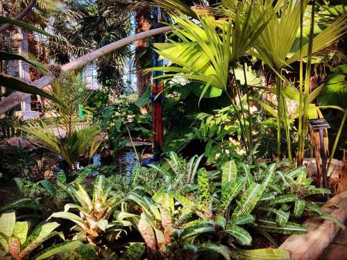 Lush indoor garden with tropical plants, palm leaves, and a small pond surrounded by greenery.