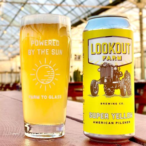 A glass of pale beer next to a can of Lookout Farm's Super Yellow pilsner, set in a bright greenhouse.