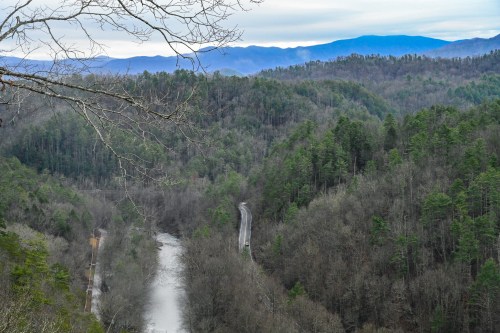 A scenic view of a winding river surrounded by dense forests and mountains under a cloudy sky.