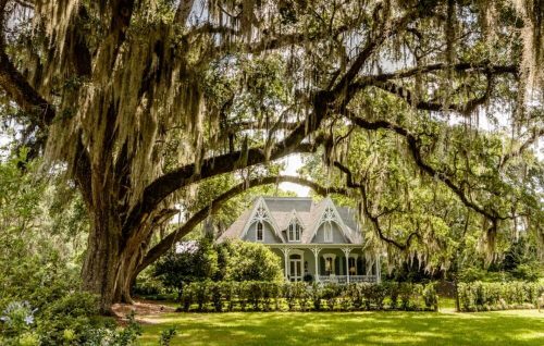 A charming Victorian-style house surrounded by lush greenery and a large tree draped in Spanish moss.