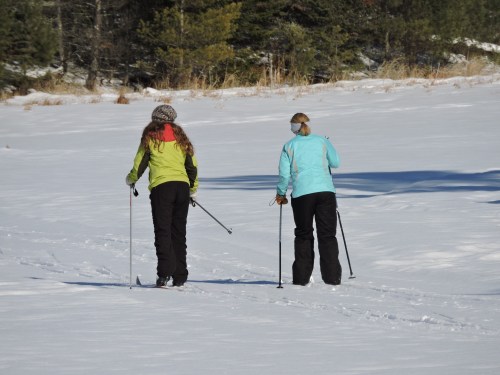 Two women skiing on a snowy trail, surrounded by trees and winter scenery.