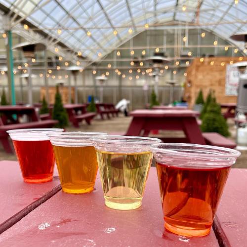 Four cups of different colored beverages sit on a red picnic table, with a greenhouse and string lights in the background.