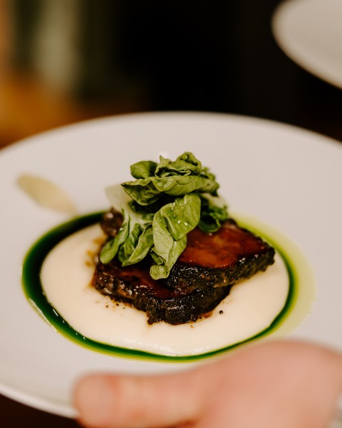 A plate featuring a piece of meat atop creamy puree, garnished with fresh greens and a drizzle of green sauce.